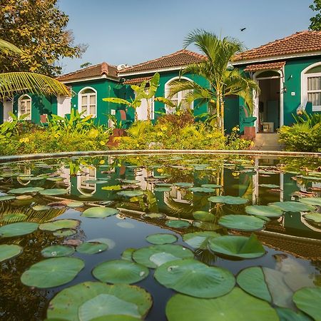 Aquatica Resorts & Spa Морджим Экстерьер фото